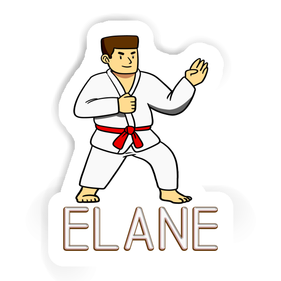 Aufkleber Karateka Elane Image