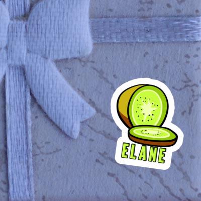 Autocollant Kiwi Elane Notebook Image