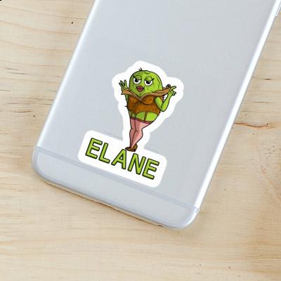 Kiwi Sticker Elane Gift package Image