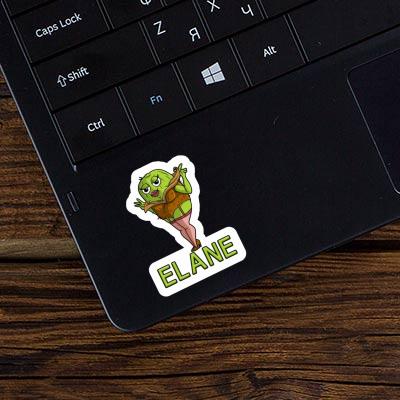 Kiwi Sticker Elane Image