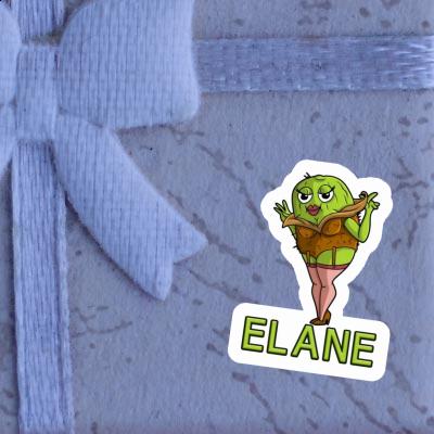 Kiwi Sticker Elane Notebook Image