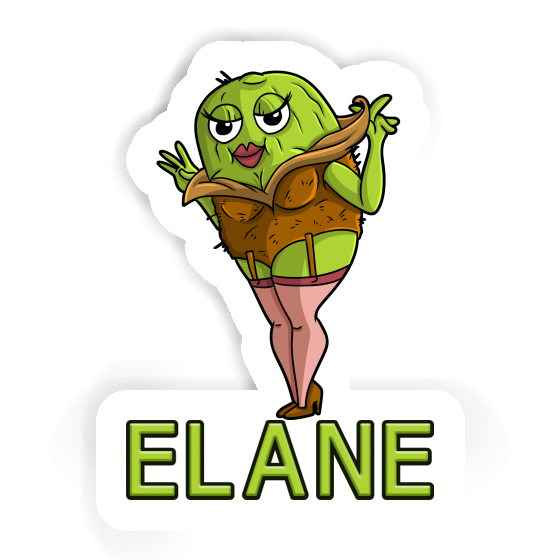 Autocollant Kiwi Elane Gift package Image