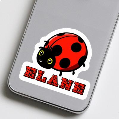 Ladybird Sticker Elane Image