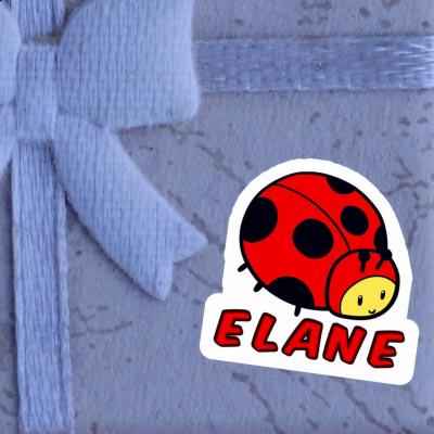 Ladybug Sticker Elane Gift package Image