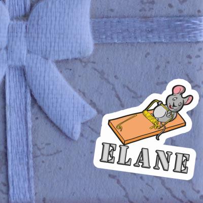 Elane Sticker Fitness Mouse Gift package Image