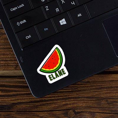 Elane Sticker Melone Laptop Image