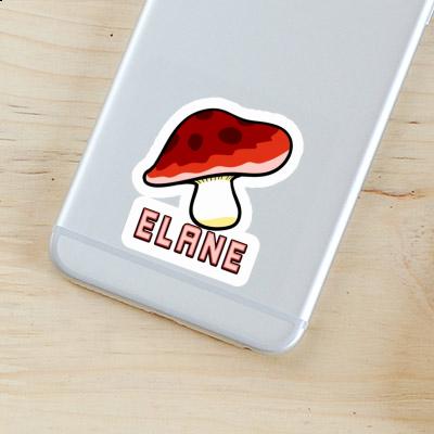 Sticker Fungal Elane Gift package Image