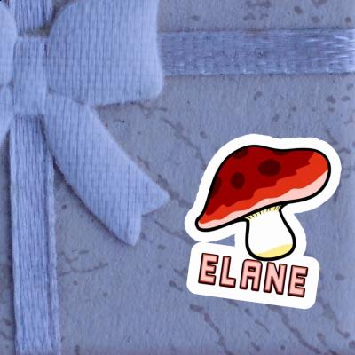 Sticker Fungal Elane Gift package Image