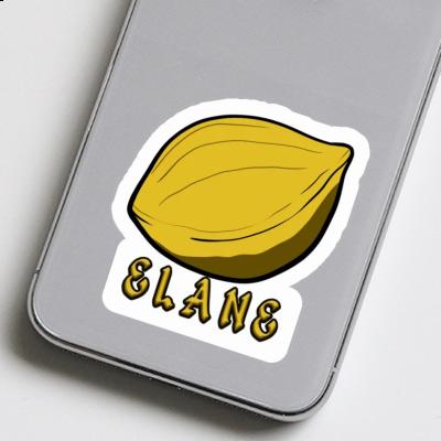 Sticker Nut Elane Laptop Image