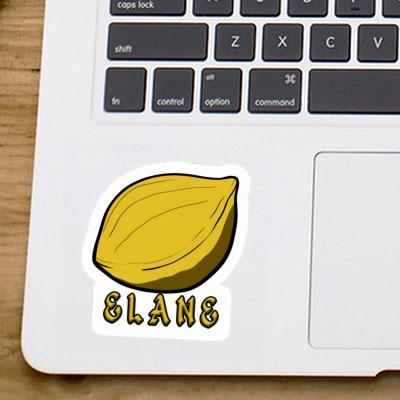 Sticker Nuss Elane Notebook Image