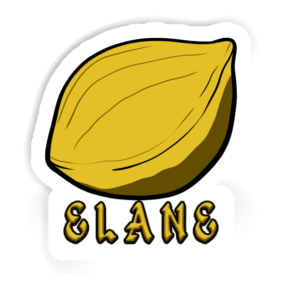 Sticker Nut Elane Notebook Image