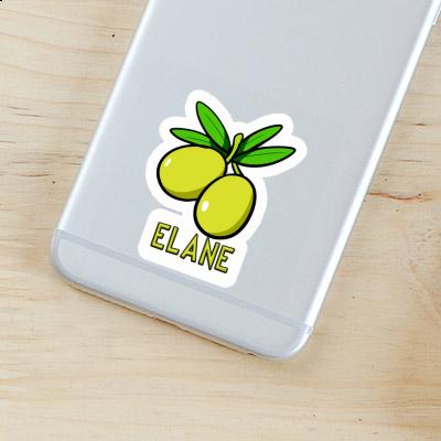 Elane Sticker Olive Notebook Image