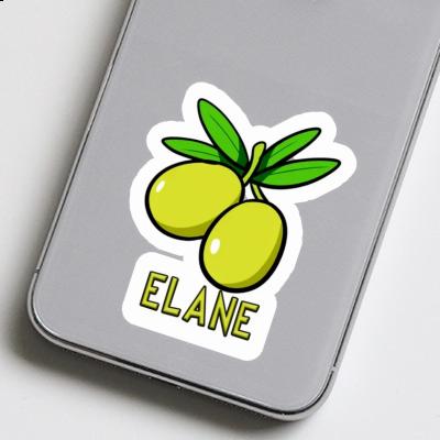 Elane Sticker Olive Notebook Image