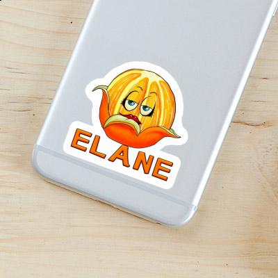 Elane Sticker Orange Notebook Image