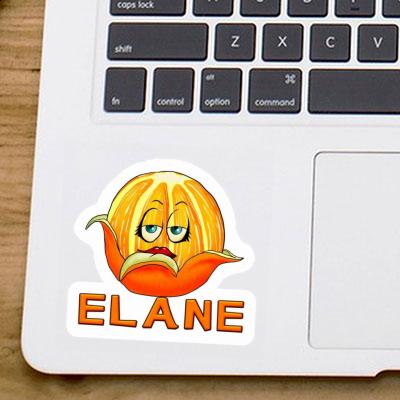 Aufkleber Orange Elane Gift package Image