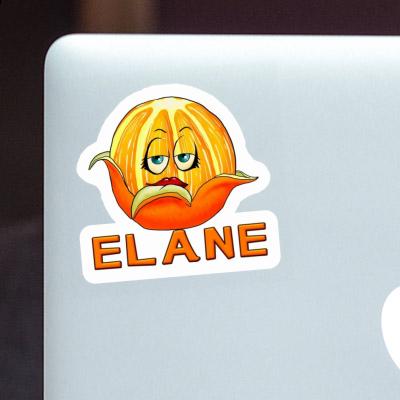 Elane Sticker Orange Gift package Image