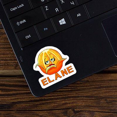 Elane Sticker Orange Gift package Image