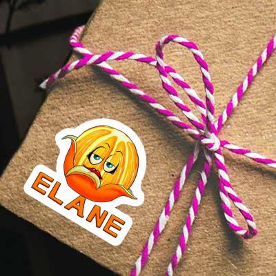 Elane Sticker Orange Notebook Image