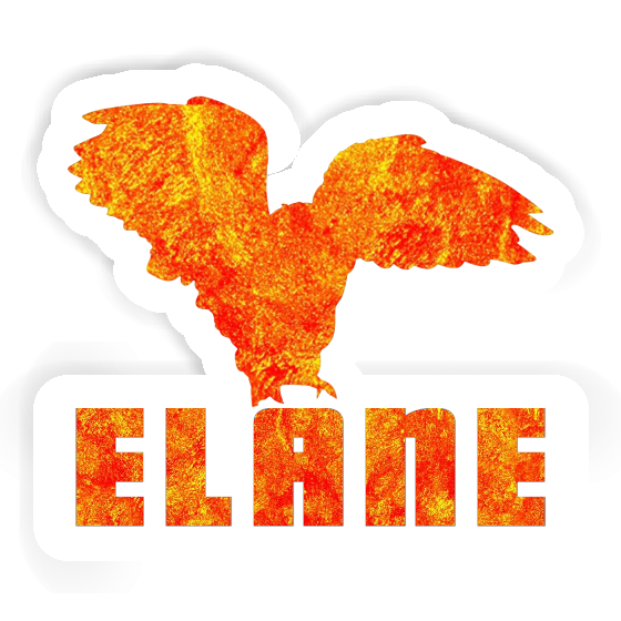 Elane Sticker Owl Gift package Image