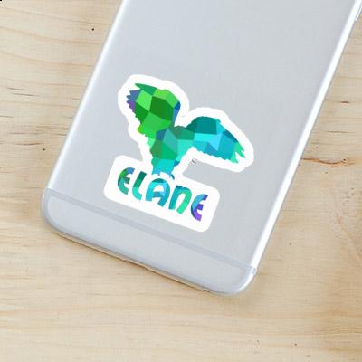 Sticker Owl Elane Notebook Image