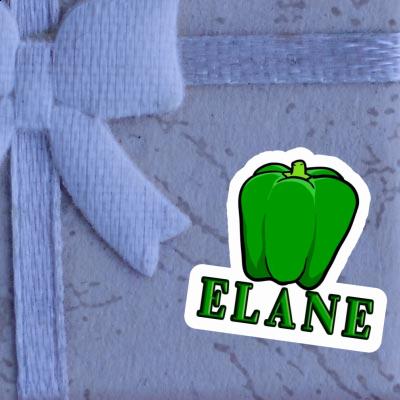 Paprika Sticker Elane Gift package Image