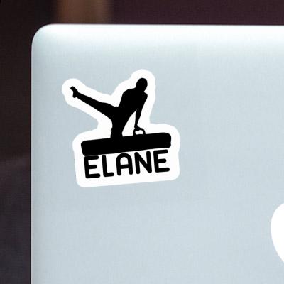 Autocollant Gymnaste Elane Laptop Image