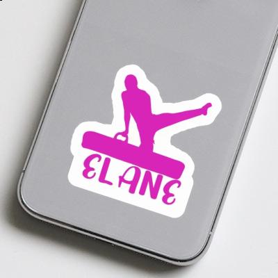 Gymnast Sticker Elane Gift package Image