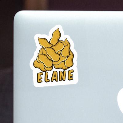 Elane Sticker Nuss Notebook Image