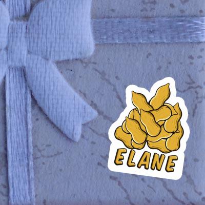 Elane Sticker Nuss Gift package Image