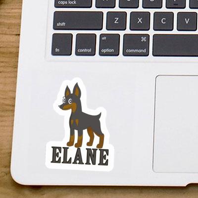 Pinscher Autocollant Elane Image