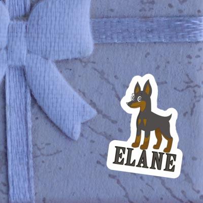 Elane Sticker Pinscher Gift package Image