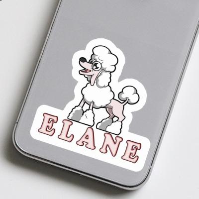 Sticker Elane Poodle Gift package Image