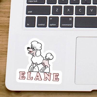 Sticker Elane Poodle Laptop Image