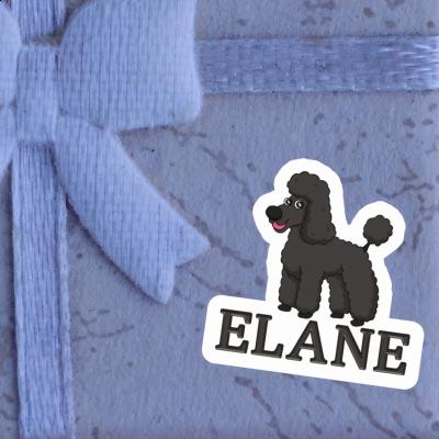 Poodle Sticker Elane Gift package Image