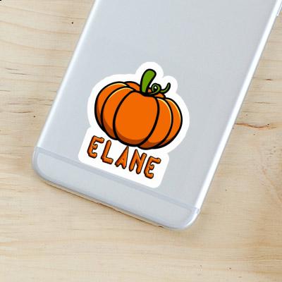 Sticker Pumpkin Elane Gift package Image