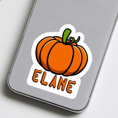 Courge Autocollant Elane Notebook Image