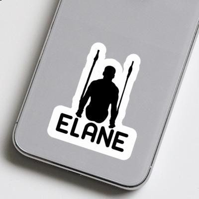 Sticker Ring gymnast Elane Laptop Image