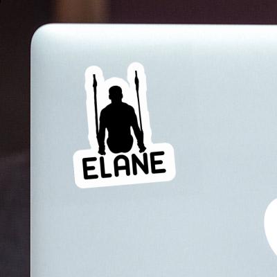 Sticker Ring gymnast Elane Notebook Image