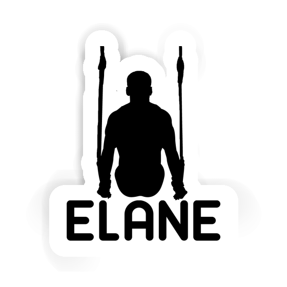 Sticker Ring gymnast Elane Laptop Image