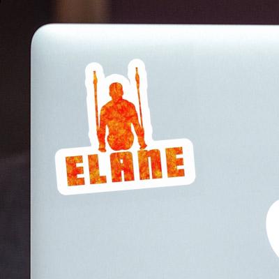 Sticker Elane Ringturner Notebook Image