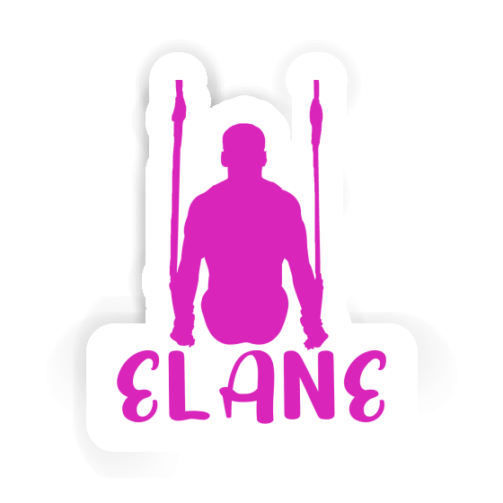 Elane Sticker Ring gymnast Gift package Image