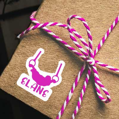 Aufkleber Ringturnerin Elane Gift package Image