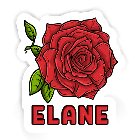 Rose blossom Sticker Elane Gift package Image