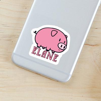 Elane Sticker Pig Image