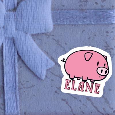 Autocollant Cochon Elane Laptop Image