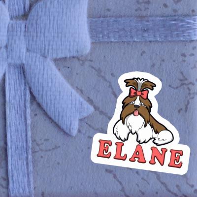 Shih Tzu Autocollant Elane Gift package Image