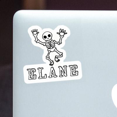 Sticker Skull Elane Gift package Image