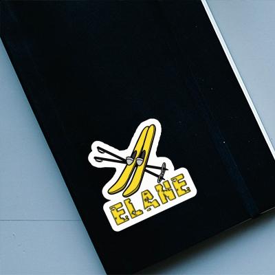 Elane Sticker Ski Notebook Image