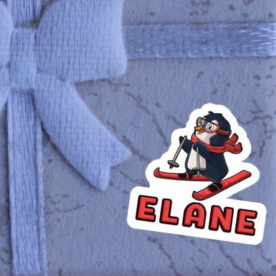 Elane Sticker Skifahrerin Notebook Image