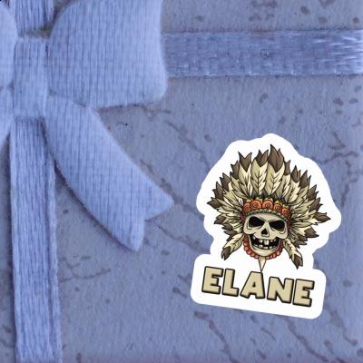 Autocollant Tête de mort Elane Gift package Image